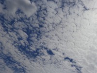 Altocumulus