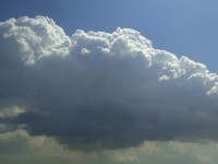 Cumulus congestus