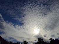 Altocumulus stratiformis perlucidus