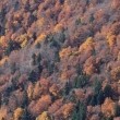 les