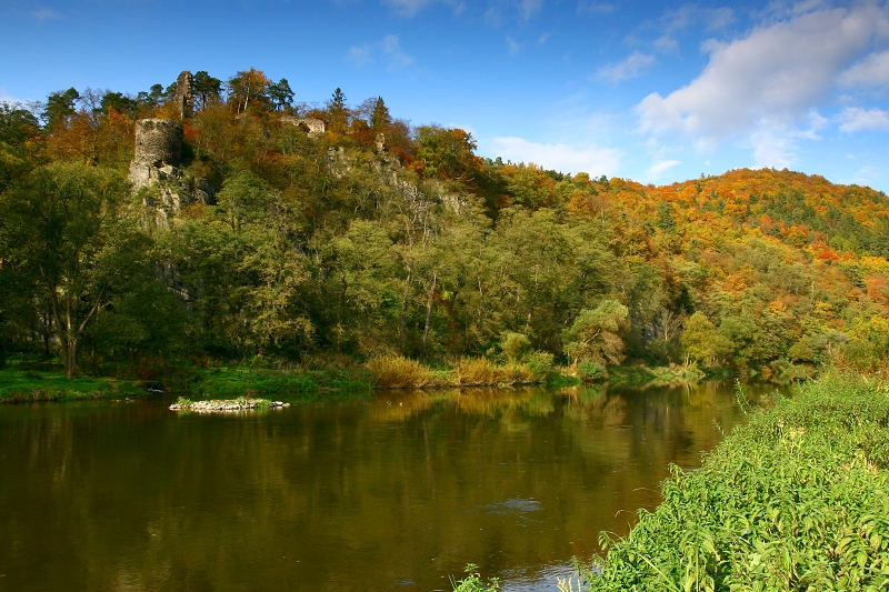 Podzimní krajina s řekou a zbarveným listím