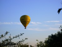 Balón