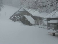 Čerstvý sníh ve Slovinsku
