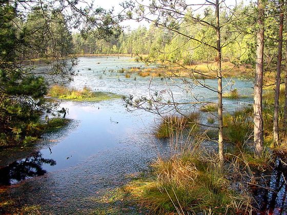 Podzimní horské jezero